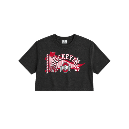 Ohio State Buckeyes Pennant Cropped Tee