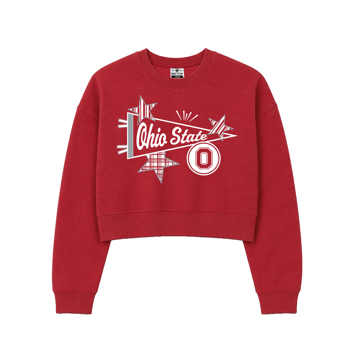 Ohio State Pennant Cropped Crew Sweatshirt