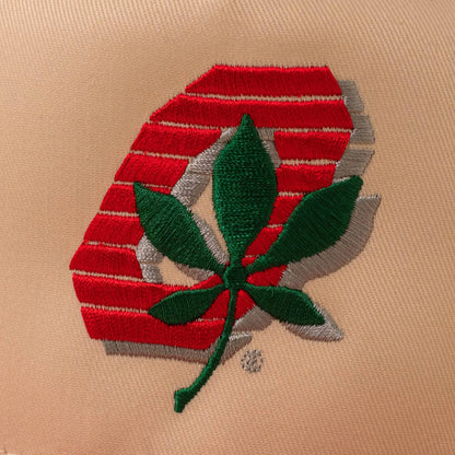 Block O Buckeye Leaf Two-Tone Hat