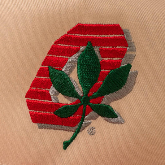 Block O Buckeye Leaf Two-Tone Hat
