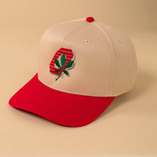 Block O Buckeye Leaf Two-Tone Hat