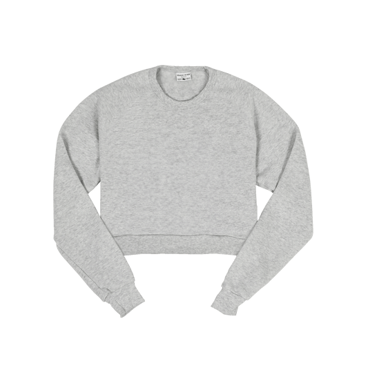 Pittsburgh Test Cropped Sweatshirt