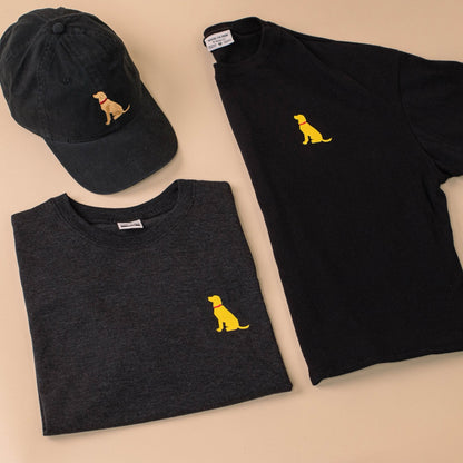 Champ Dad Hat