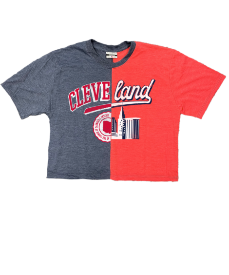 Cleve/Land Split Crop Top