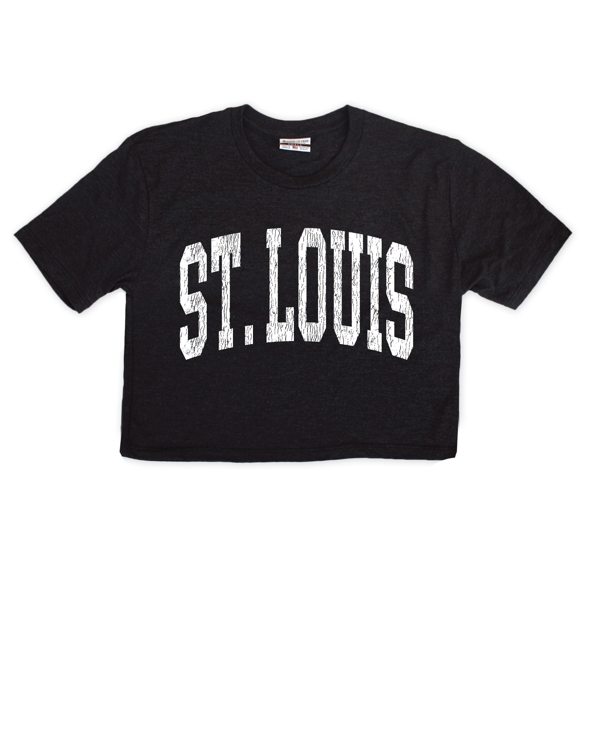 St. Louis Arch Black Crop