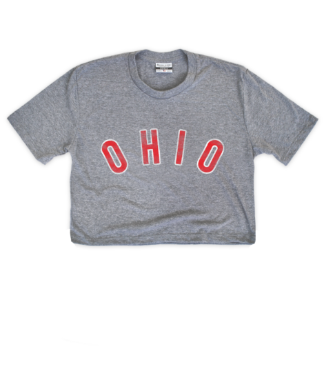 Ohio Arched Gray Crop Top