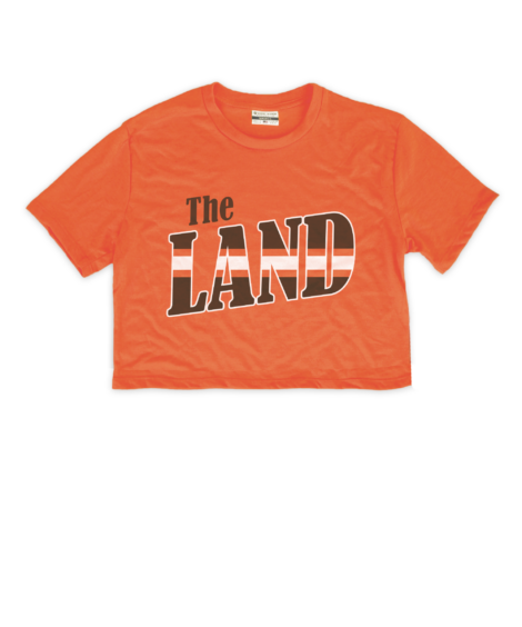 The Land Stripes Orange Crop Top