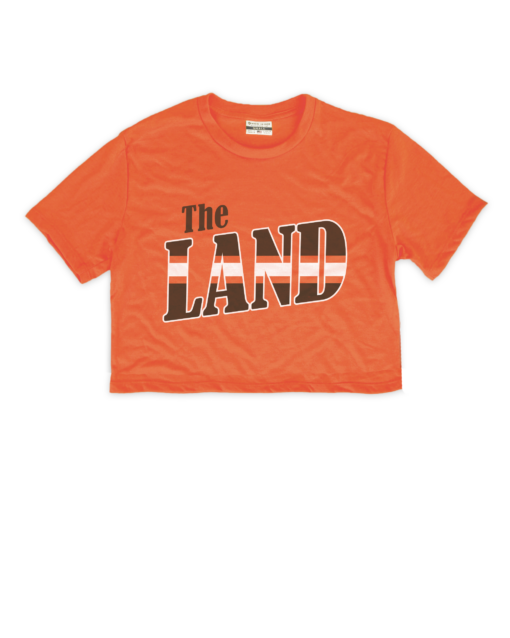 The Land Stripes Orange Crop Top