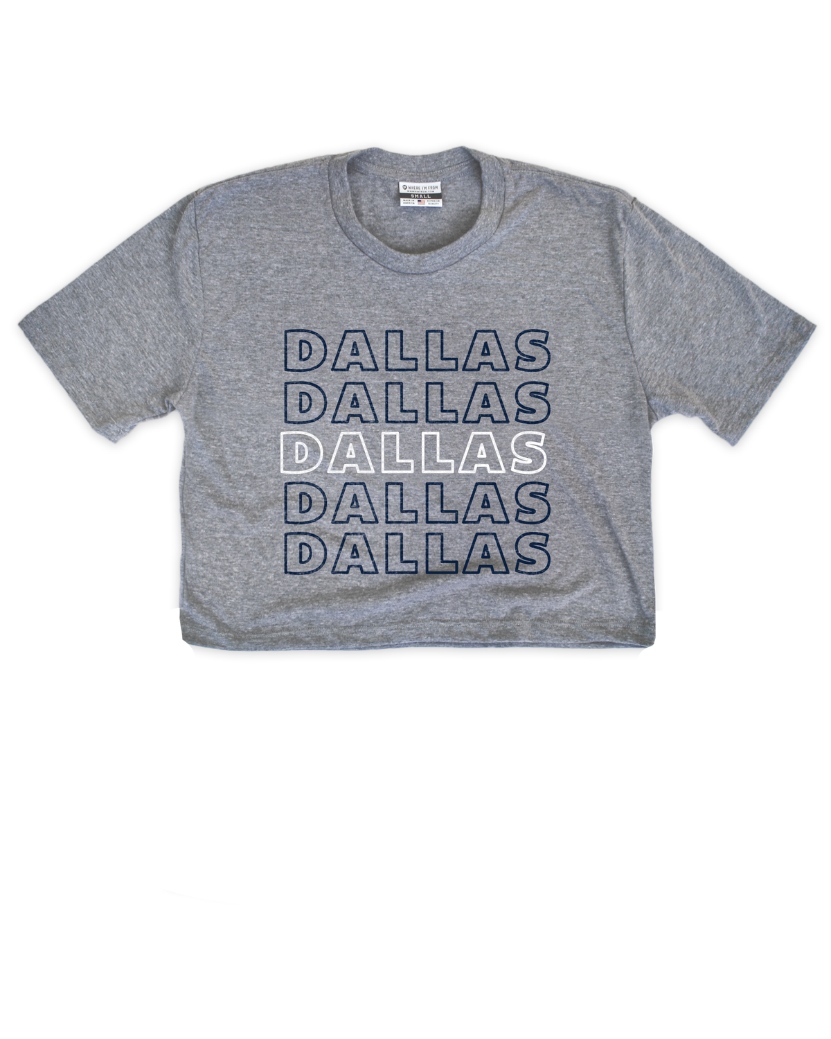 Dallas Repeat Gray Crop Top