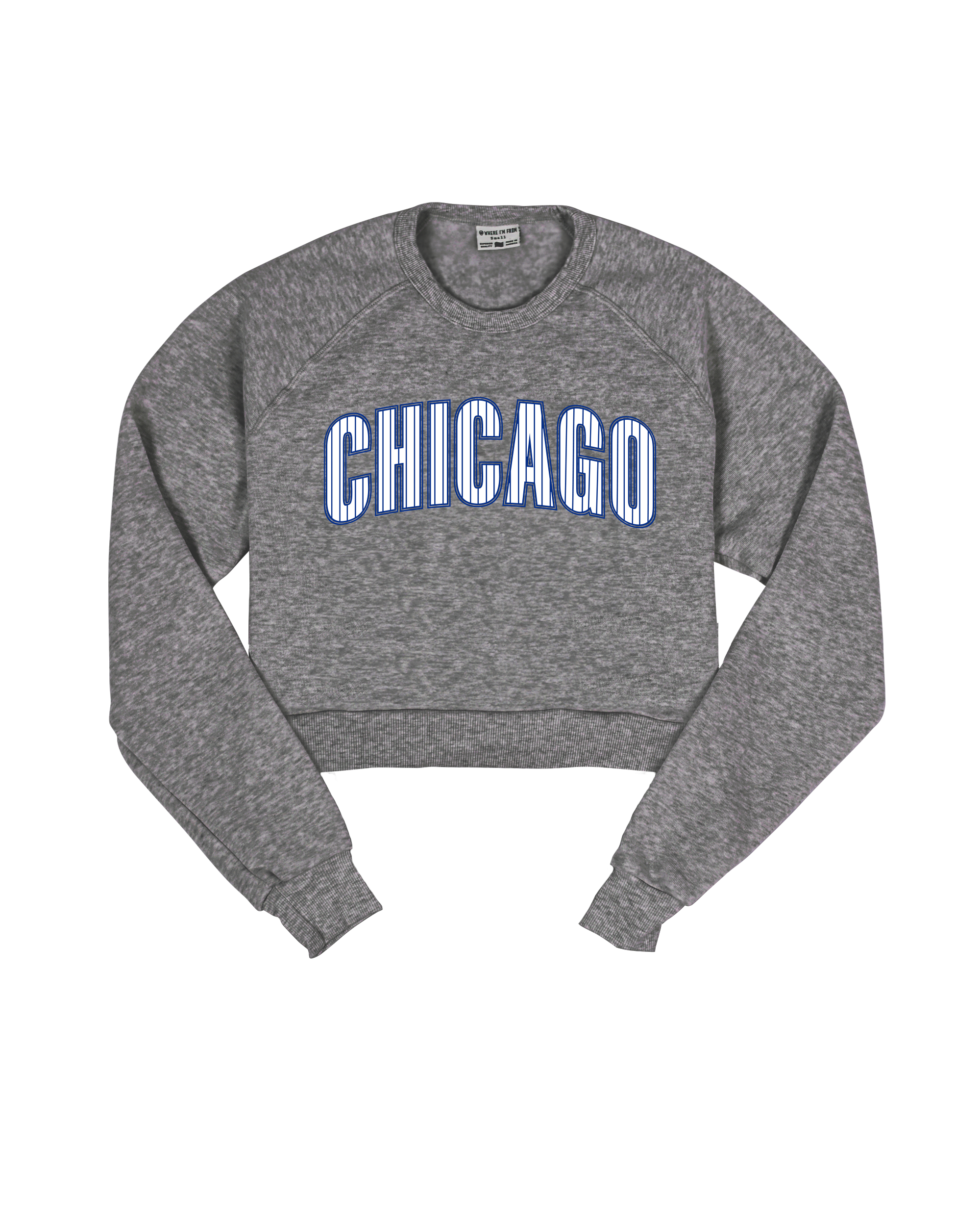 Chicago Arch Lines Crop Sweatshirt