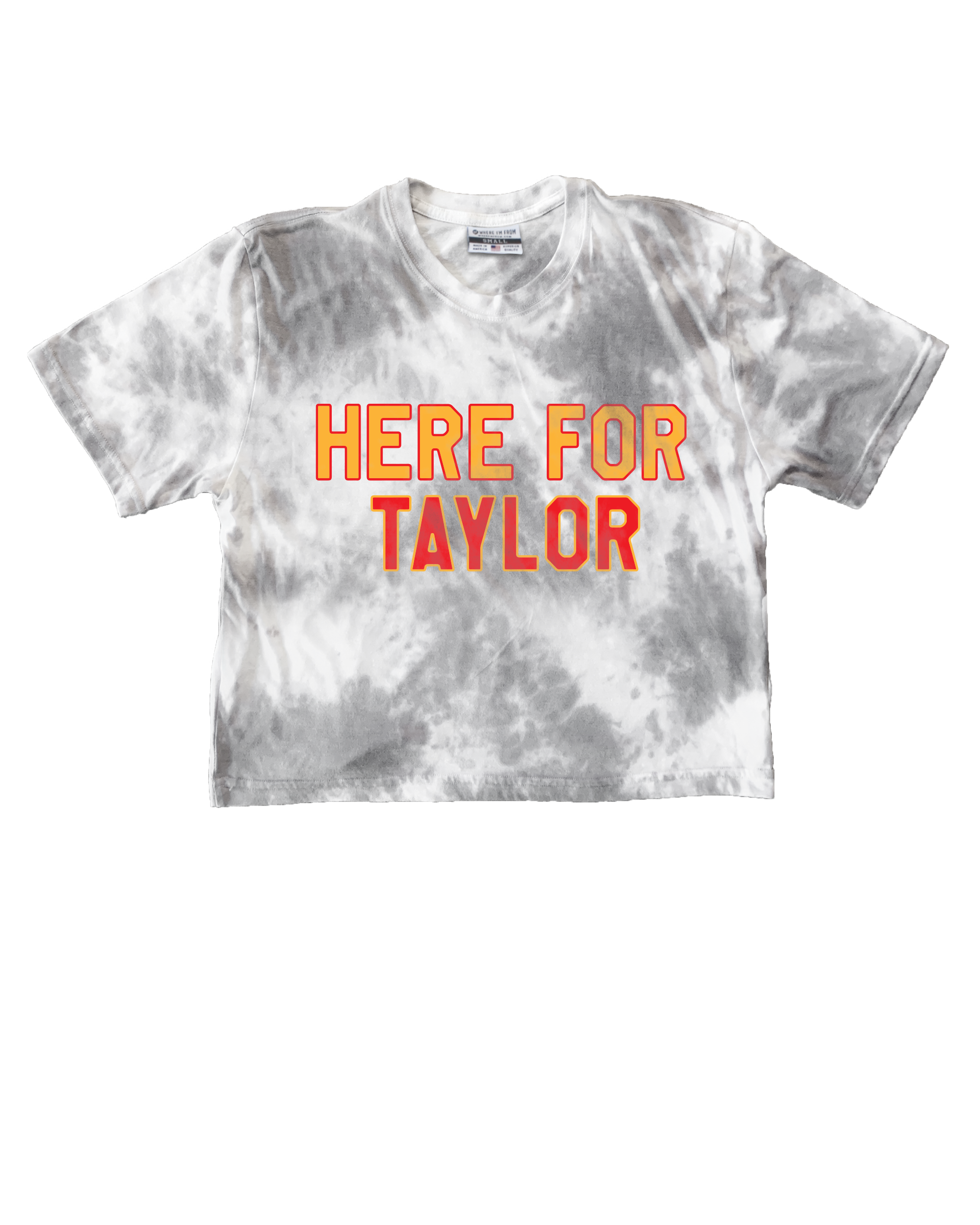 Here for Taylor Tie Dye Crop Top