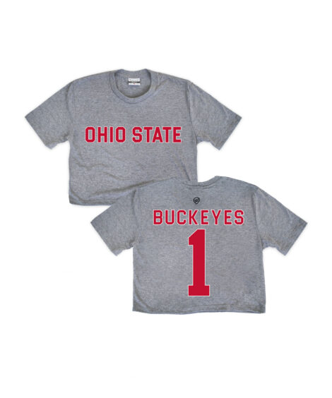 Ohio State Jersey Front/Back Gray Crop Top